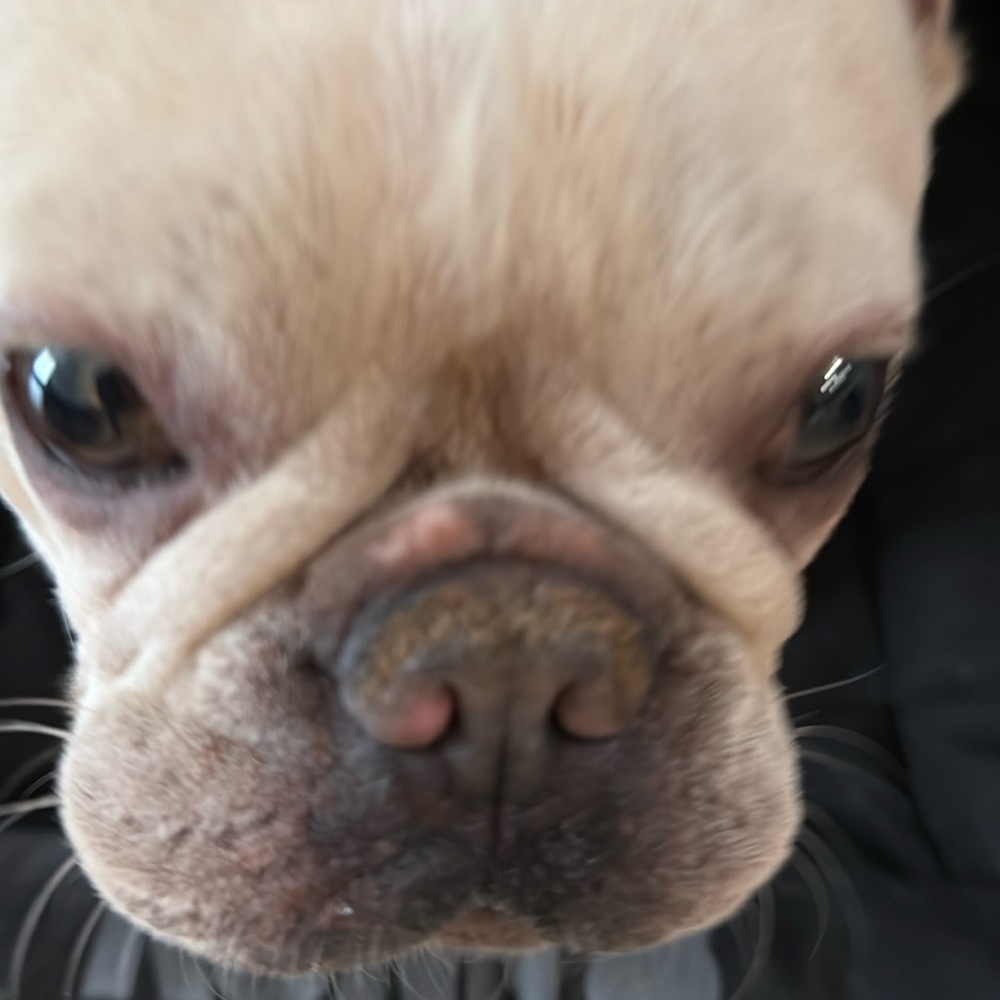 Meet your Posher, Tasha